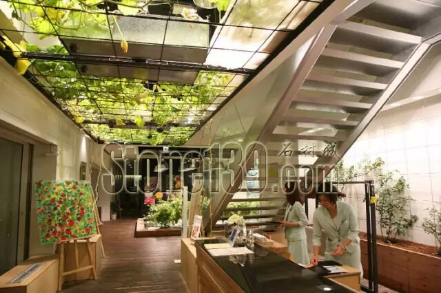 石材從業(yè)者的工作環(huán)境夢(mèng)想終極篇 辦公室的綠色