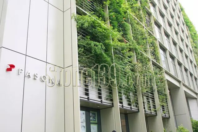 石材從業(yè)者的工作環(huán)境夢(mèng)想終極篇 辦公室的綠色