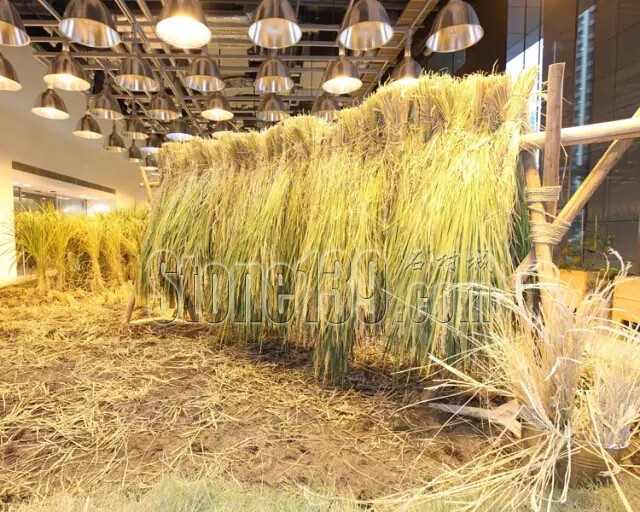 石材從業(yè)者的工作環(huán)境夢(mèng)想終極篇 辦公室的綠色