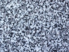 G688 花崗巖 荒料