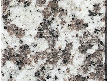 廣東G439 大白花 廠家直銷  光板規格板 路沿石 花崗巖