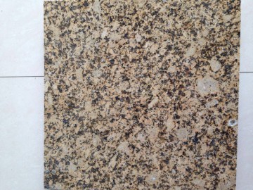 海地金鉆花崗巖工程外墻應用