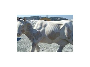 青島鼎豪石材有限公司承接各種石雕、浮雕