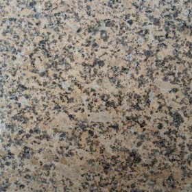 新海地金鉆花崗巖供應