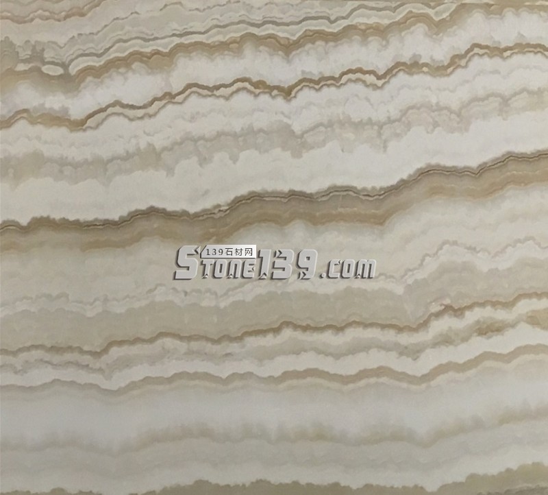 直紋白玉 條紋白玉