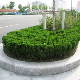 五蓮紅彎道路沿石供應