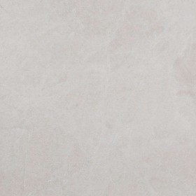 水頭白玉蘭供應