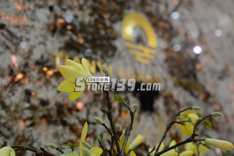 2017年水頭石材展會現場圖片