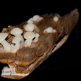 玉石工藝裝飾品供應(yīng) 玉石蘑菇