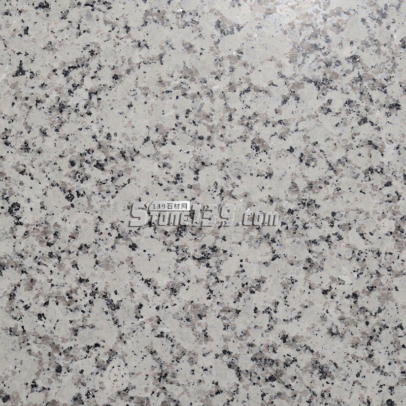 廣東白麻（芭拉白、巴拉花、大白花）的圖文對比