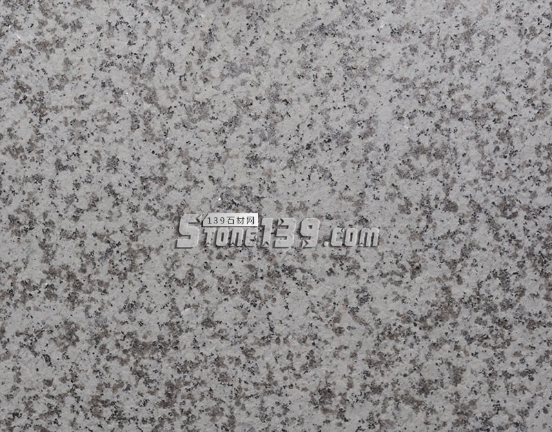 廣東白麻（芭拉白、巴拉花、大白花）的圖文對比