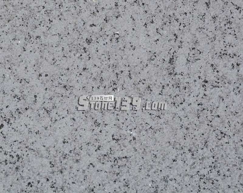 廣東白麻（芭拉白、巴拉花、大白花）的圖文對比