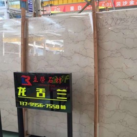 進口大理石 龍舌蘭大板