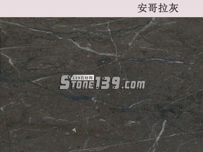 安哥拉灰 安哥拉灰