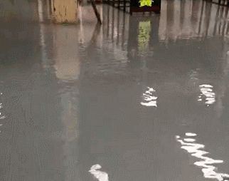 福建水頭石材市場拒絕水逆,石材人要遇水則發……