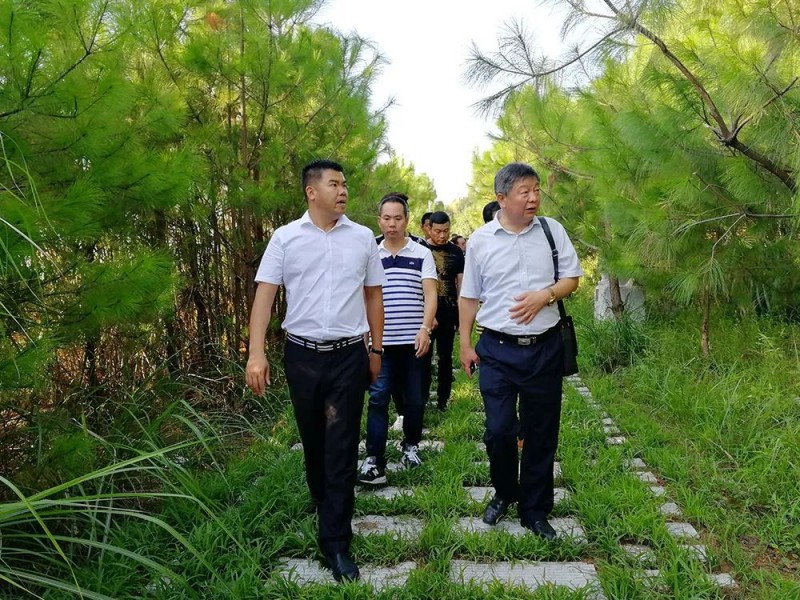 湖北麻城市委常委、統戰部部長戴昌遠一行考察交流富強石材綠色礦山經驗