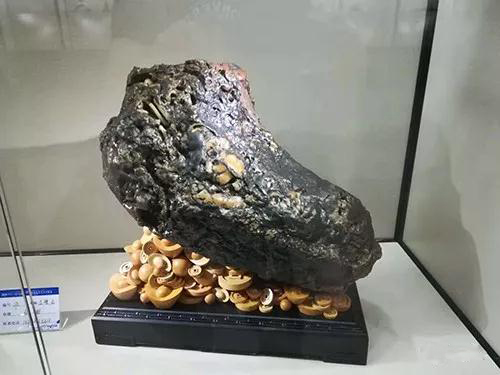 安徽首屆奇石文化交流博覽會開幕，熱乎乎的金獎都在這里了！