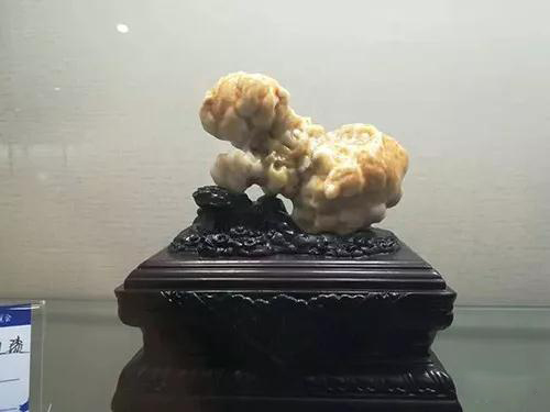 安徽首屆奇石文化交流博覽會開幕，熱乎乎的金獎都在這里了！