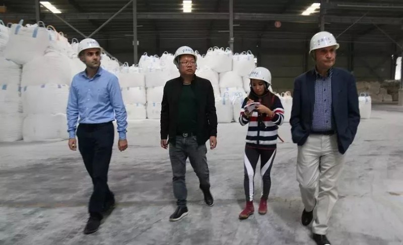 希臘最大爵士白礦主拜訪廣西賀州旺高工業區合源粉體公司