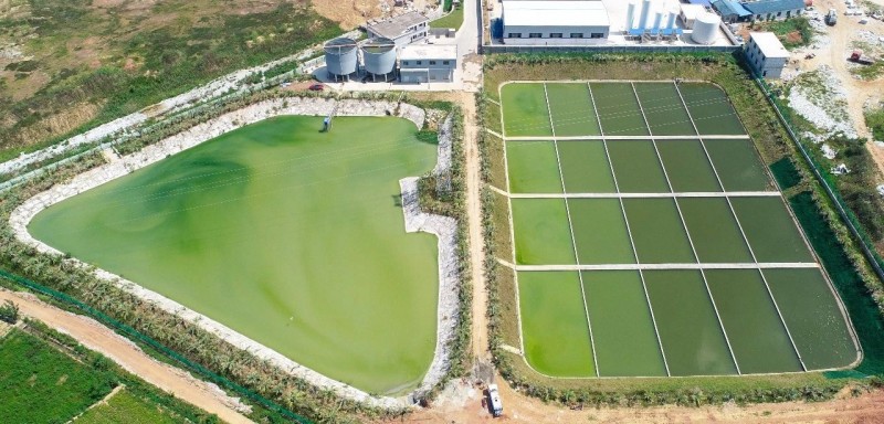 湖北黃岡政協委員蒞臨中部(麻城)石材循環經濟產業園調研!