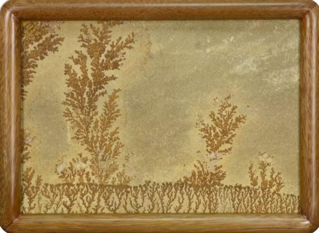 石材文創(chuàng)產(chǎn)品驚艷第十一屆廈門文博會(huì) 第十一屆廈門文博會(huì)現(xiàn)場(chǎng)