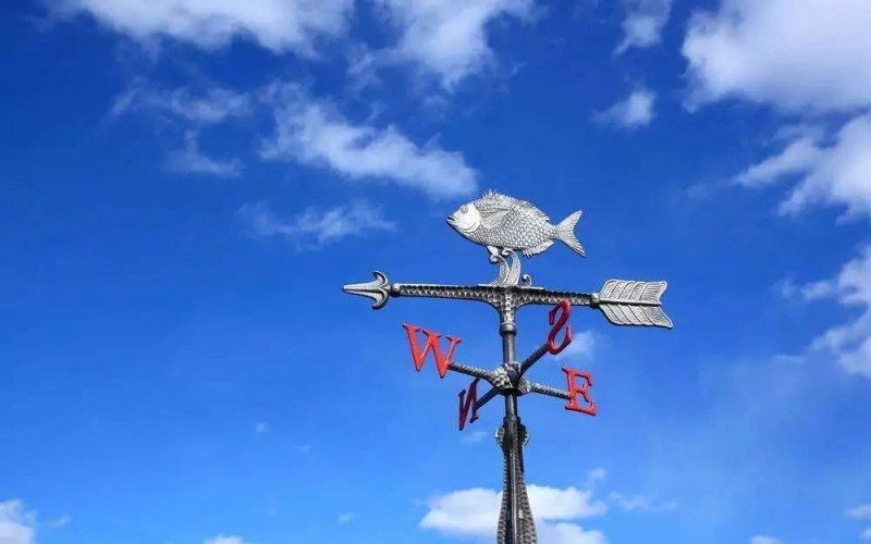 石材人,干了這碗雞湯繼續造!