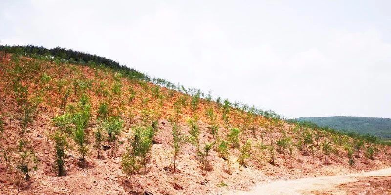 礦山環(huán)境“開發(fā)式治理”之路如何走?