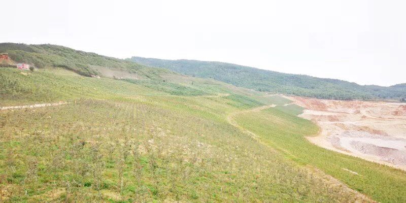 礦山環(huán)境“開發(fā)式治理”之路如何走?