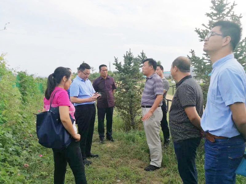 礦山環(huán)境“開發(fā)式治理”之路如何走?