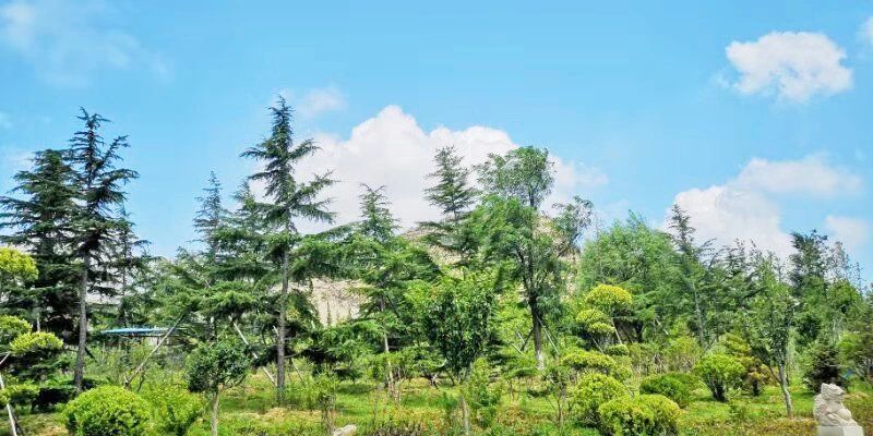 礦山環(huán)境“開發(fā)式治理”之路如何走?