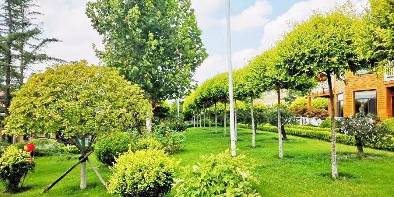 礦山環(huán)境“開發(fā)式治理”之路如何走?