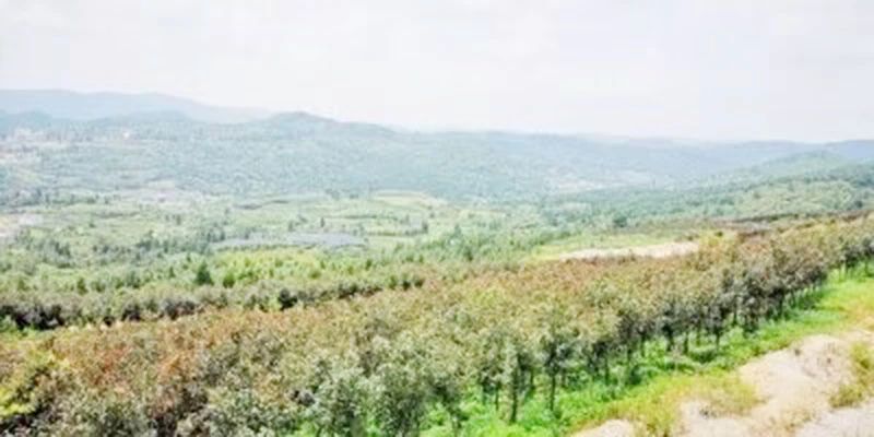 礦山環(huán)境“開發(fā)式治理”之路如何走?