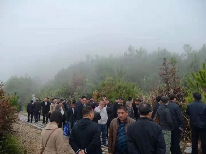 【福建富強石業】綠色石材礦山建設鑄就的富強之路