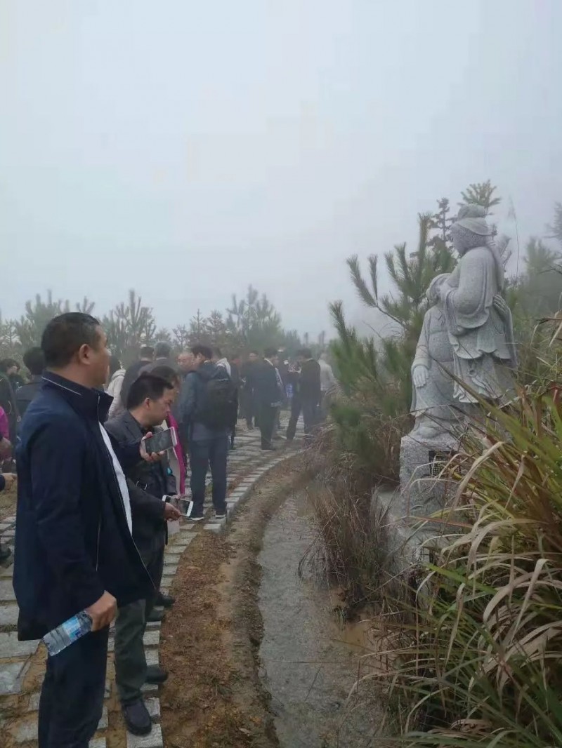 【福建富強石業】綠色石材礦山建設鑄就的富強之路