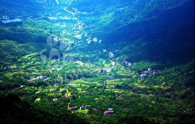 麻城政府拿出20億真金白銀支持石材產業 | 各地石材老板羨慕呀!