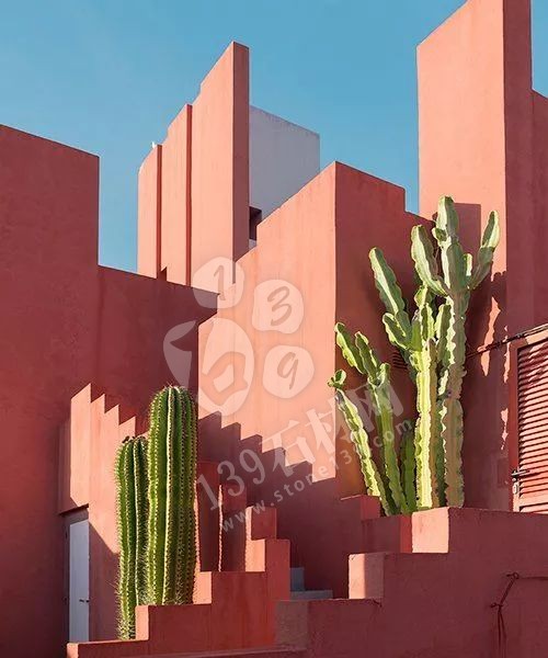 2019年流行的“珊瑚橘”主打色調