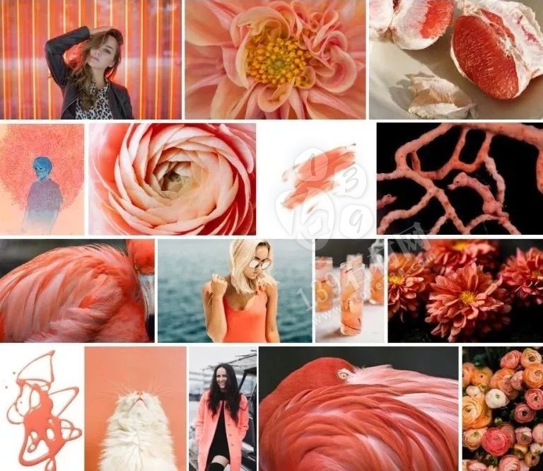 2019年流行的“珊瑚橘”主打色調
