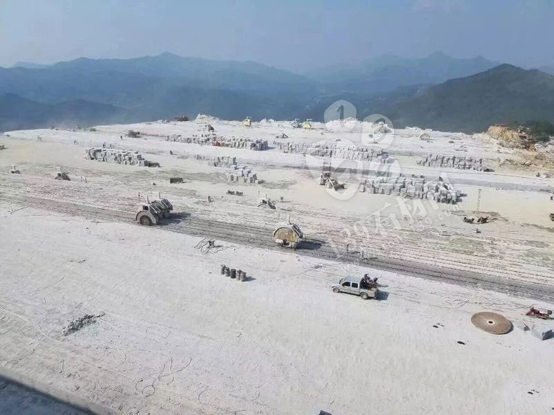 湖北羅田芝麻灰(細花)最新報價單!