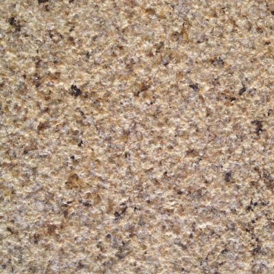 新疆菊花黃浙江市場批發