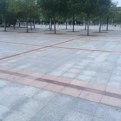 珍珠花地鋪應用