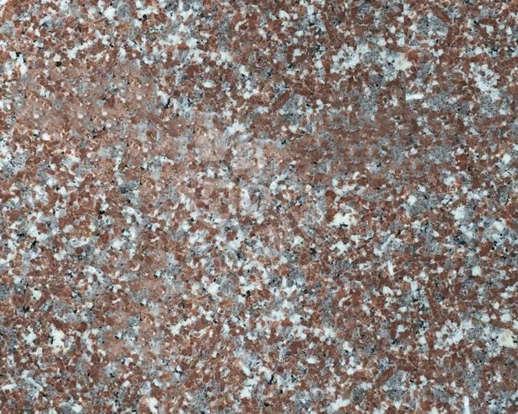 廣東揭陽紅石材