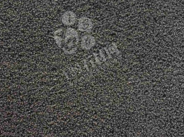 豐鎮黑(蒙古黑、中國黑)石材