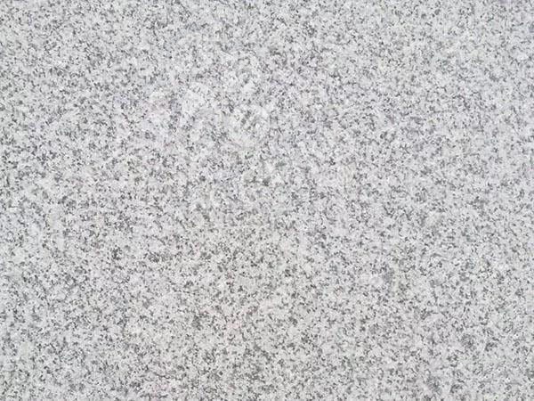 廉江市(廣東芝麻白、芝麻灰、浪花白產地)領導調研塘蓬鎮石材產業基地項目建設工作