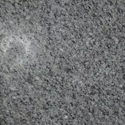 內蒙烏芝麻黑蘭浩特市產芝麻黑