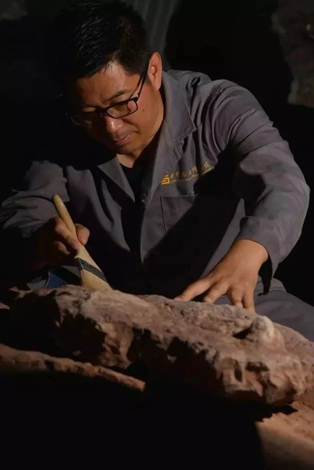 中國發現霸王龍足跡，收藏于南安水頭鎮英良世界石材自然歷史博物館