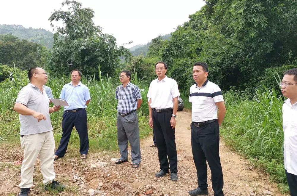 聚焦生態環境問題,局長到岑溪市督導檢查石材加工區問題