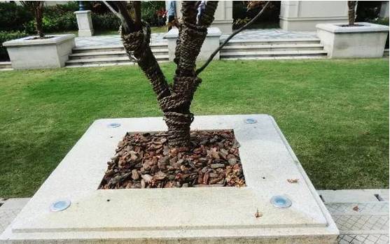 花崗巖石材樹池園藝環境石應用案例欣賞