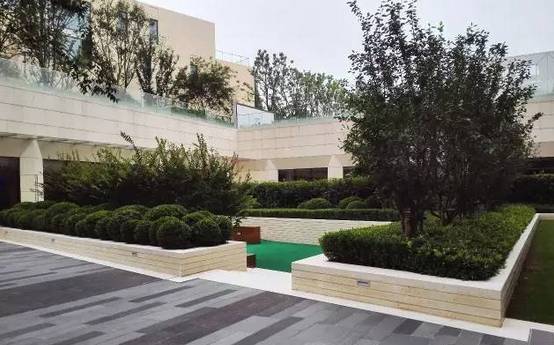 花崗巖石材樹池園藝環境石應用案例欣賞