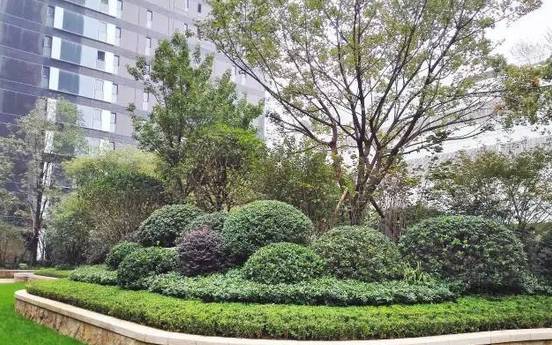 花崗巖石材樹池園藝環境石應用案例欣賞