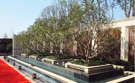 花崗巖石材樹池園藝環境石應用案例欣賞